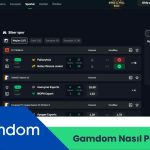 Gamdom Nasıl Para Çekilir